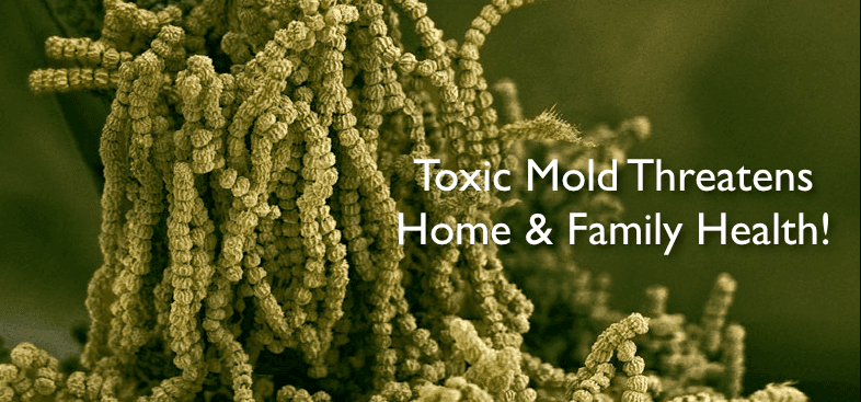 Truth About Mold - Health Effects
